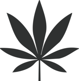 FEUILLE COMP copie.png